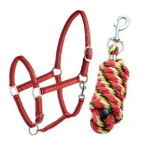 HALTER WITH RED NYLON LEAD